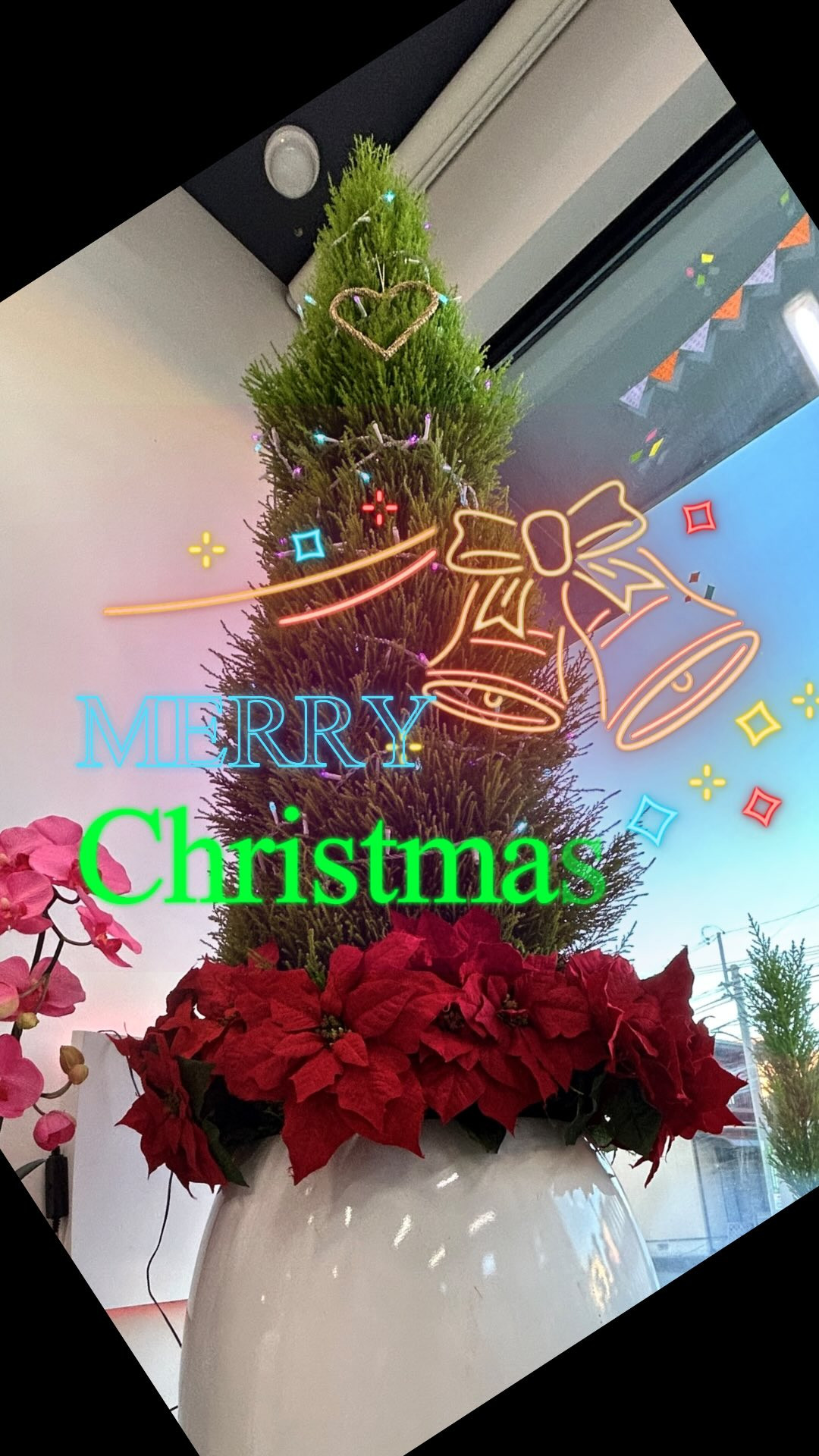 メリークリスマス✨