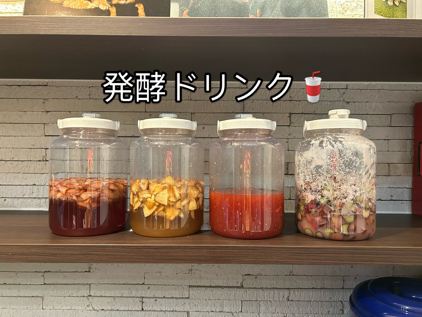 最近新しく加わった趣味である発酵ドリンクづくり